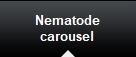 Nematode
carousel