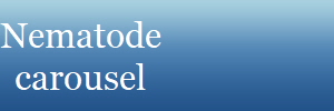 Nematode
carousel