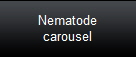 Nematode
carousel